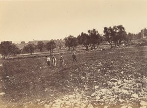 Vue panoramique de la ville - Vue générale de la ville depuis le nord - Sgt. James M. McDonald